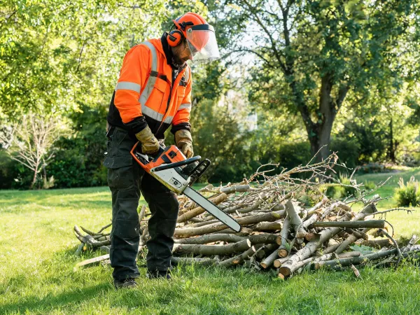Arborist preparing chainsaw work
